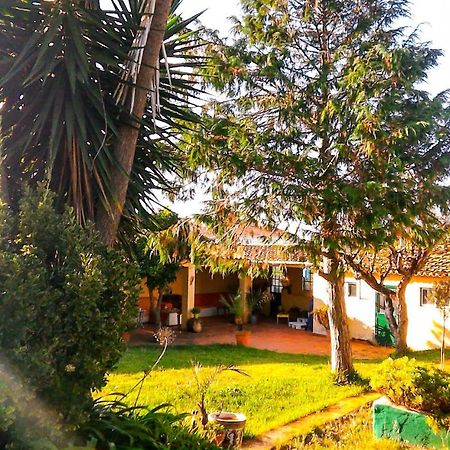 Lugar Saloio Sintra Bed & Breakfast Mem Martins Exterior photo